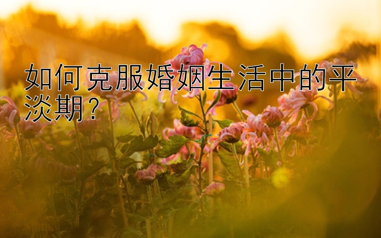 如何克服婚姻生活中的平淡期？