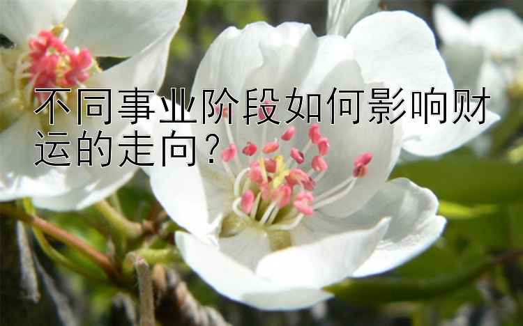 不同事业阶段如何影响财运的走向？