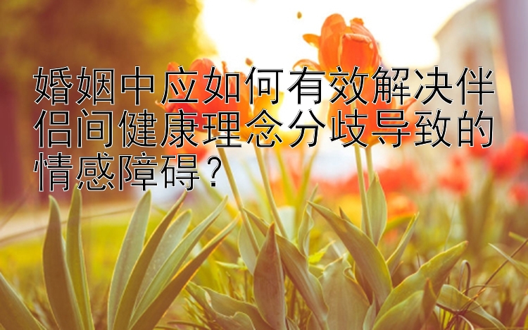 婚姻中应如何有效解决伴侣间健康理念分歧导致的情感障碍？