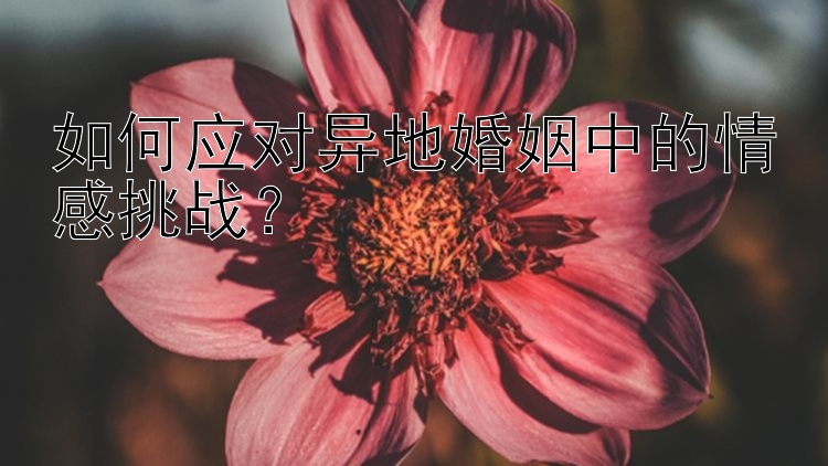 如何应对异地婚姻中的情感挑战？