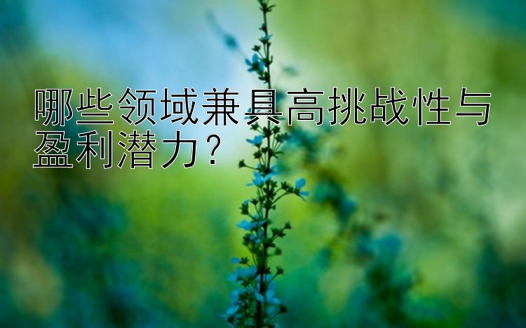 哪些领域兼具高挑战性与盈利潜力？