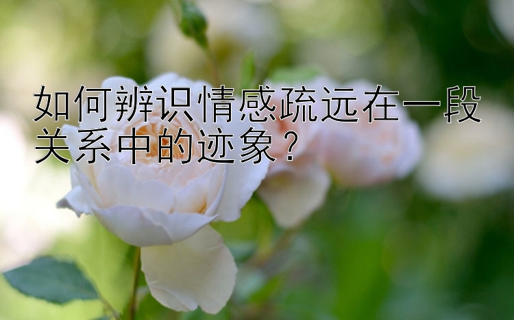 如何辨识情感疏远在一段关系中的迹象？