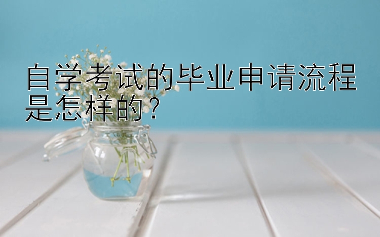 自学考试的毕业申请流程是怎样的？