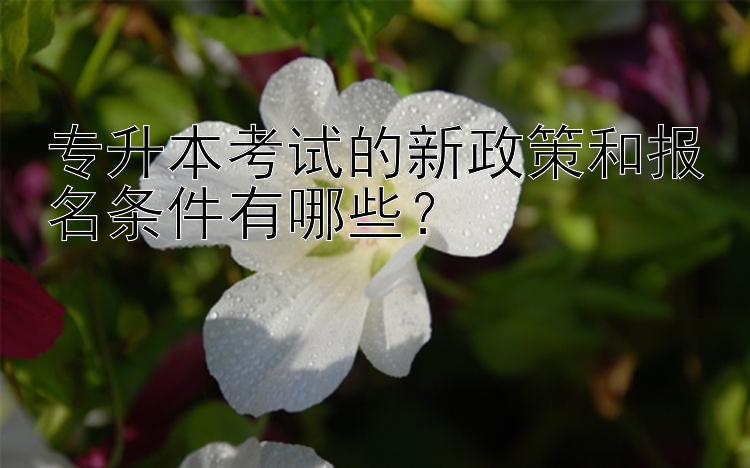 专升本考试的新政策和报名条件有哪些？