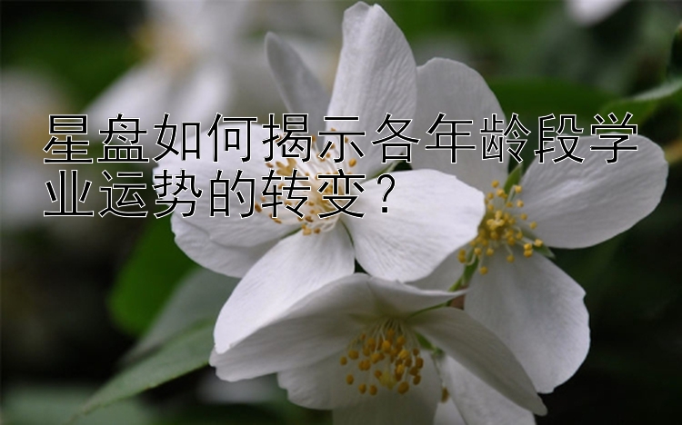 星盘如何揭示各年龄段学业运势的转变？