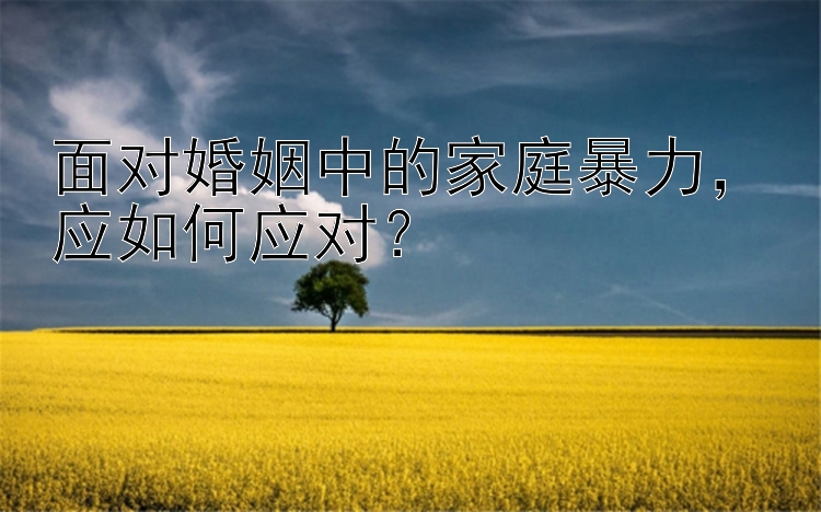 面对婚姻中的家庭暴力，应如何应对？