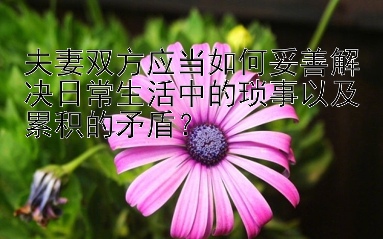 夫妻双方应当如何妥善解决日常生活中的琐事以及累积的矛盾？