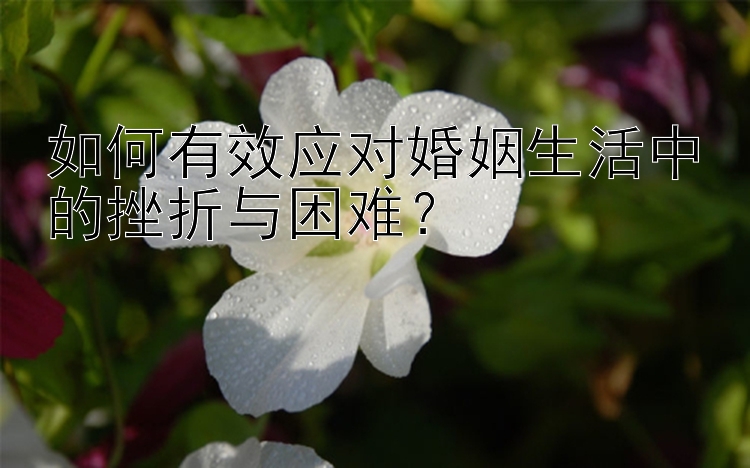 如何有效应对婚姻生活中的挫折与困难？