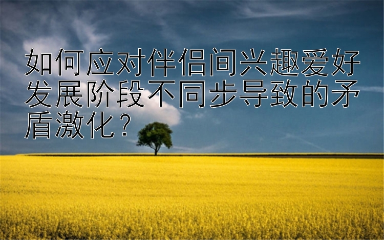 如何应对伴侣间兴趣爱好发展阶段不同步导致的矛盾激化？