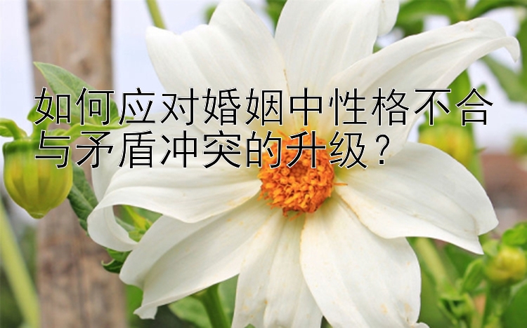 如何应对婚姻中性格不合与矛盾冲突的升级？