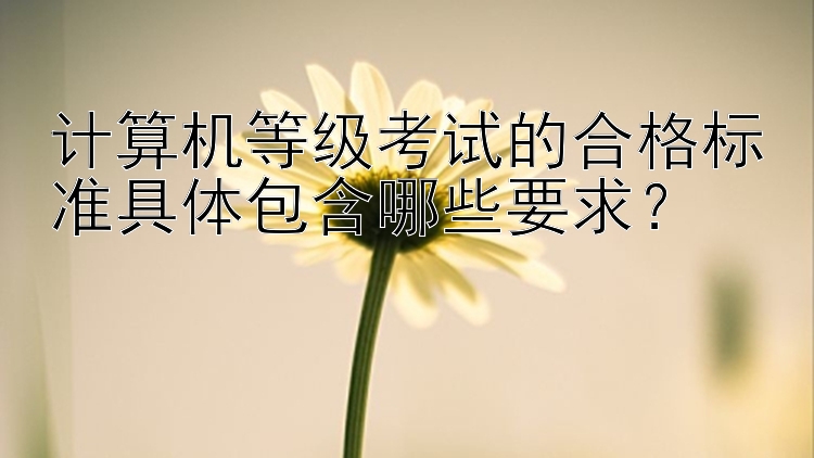 计算机等级考试的合格标准具体包含哪些要求？