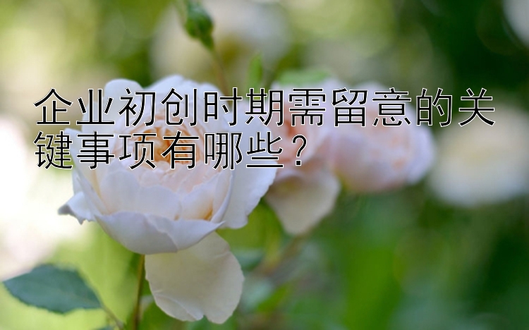 企业初创时期需留意的关键事项有哪些？