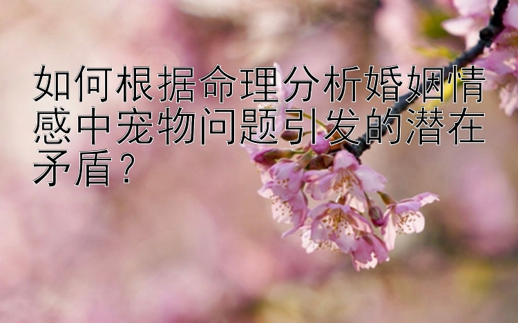 如何根据命理分析婚姻情感中宠物问题引发的潜在矛盾？