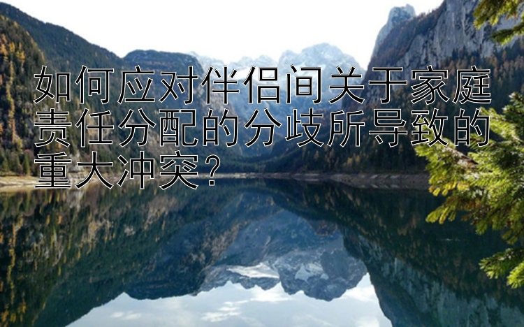 如何应对伴侣间关于家庭责任分配的分歧所导致的重大冲突？