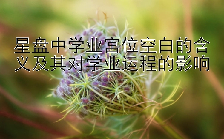 星盘中学业宫位空白的含义及其对学业运程的影响