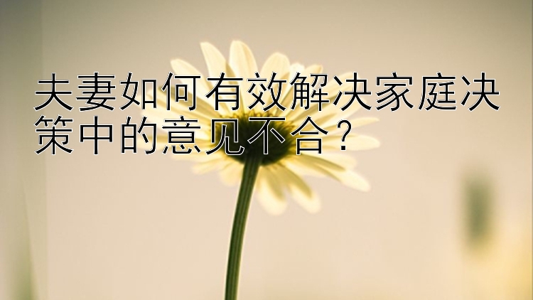 夫妻如何有效解决家庭决策中的意见不合？