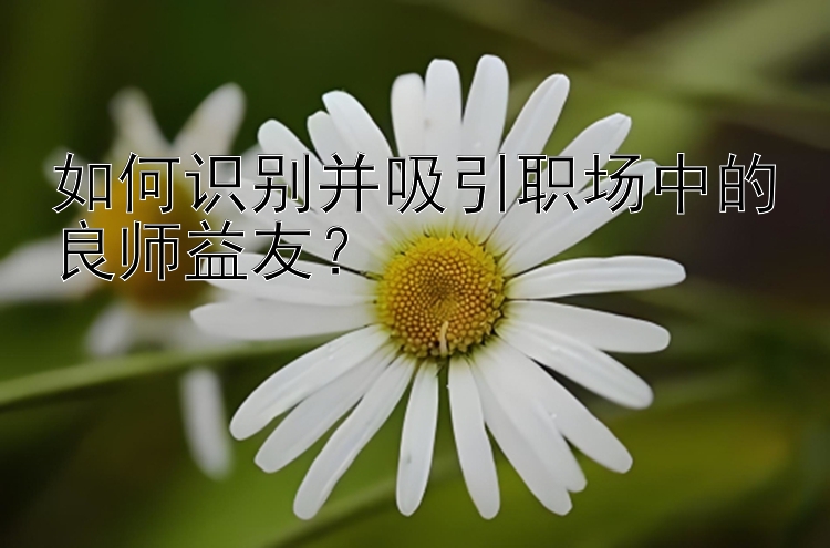 如何识别并吸引职场中的良师益友？