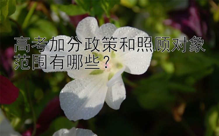 高考加分政策和照顾对象范围有哪些？