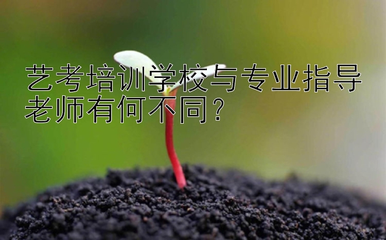 艺考培训学校与专业指导老师有何不同？