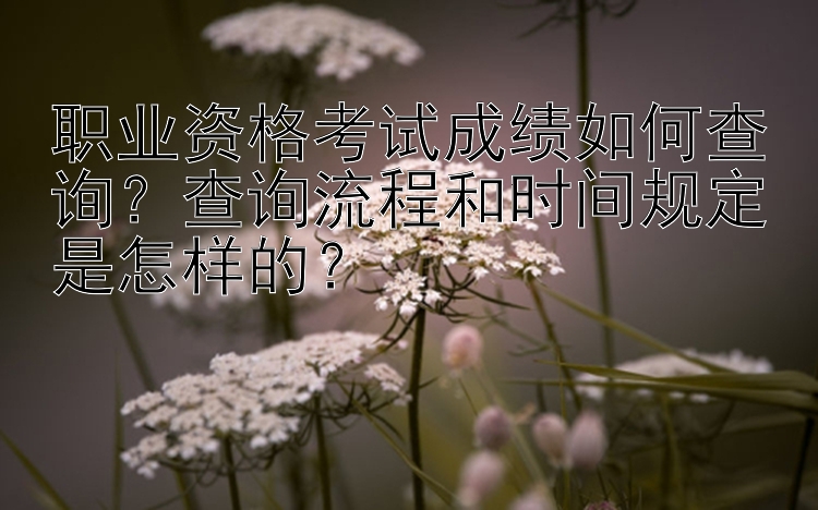 职业资格考试成绩如何查询？查询流程和时间规定是怎样的？