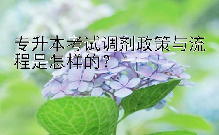 专升本考试调剂政策与流程是怎样的？