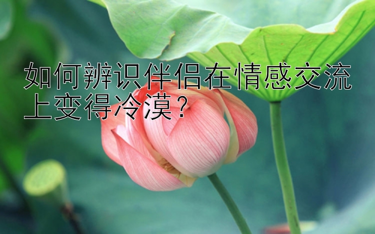 如何辨识伴侣在情感交流上变得冷漠？