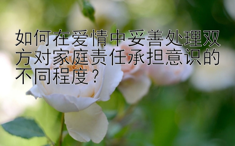 如何在爱情中妥善处理双方对家庭责任承担意识的不同程度？