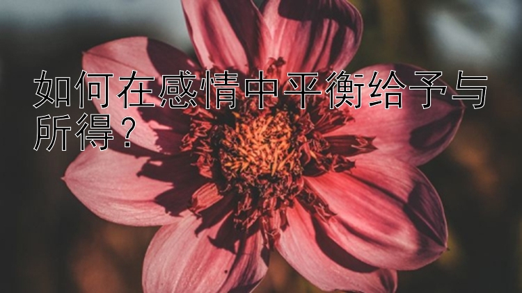 如何在感情中平衡给予与所得？