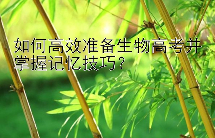 如何高效准备生物高考并掌握记忆技巧？