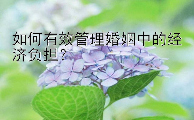 如何有效管理婚姻中的经济负担？