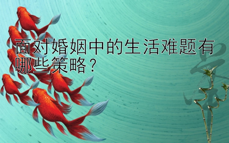 面对婚姻中的生活难题有哪些策略？