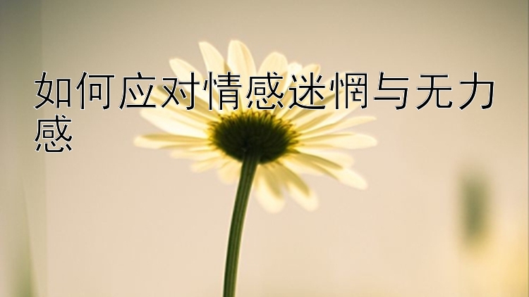 如何应对情感迷惘与无力感