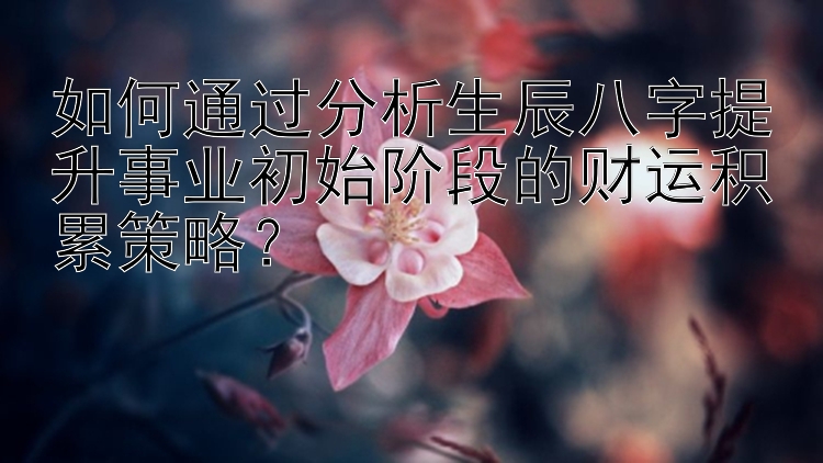 如何通过分析生辰八字提升事业初始阶段的财运积累策略？