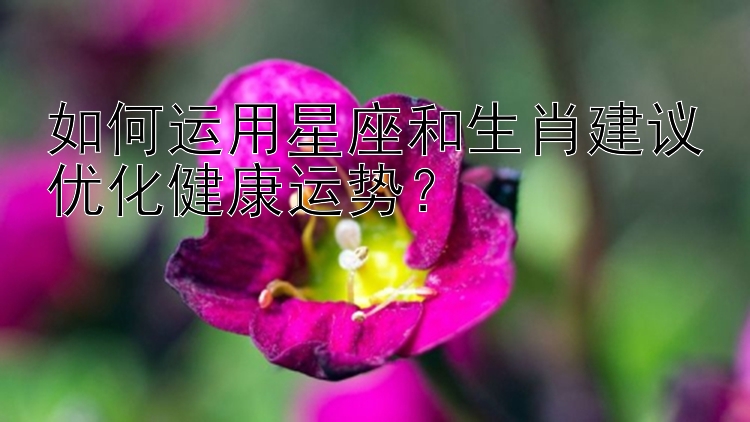 如何运用星座和生肖建议优化健康运势？