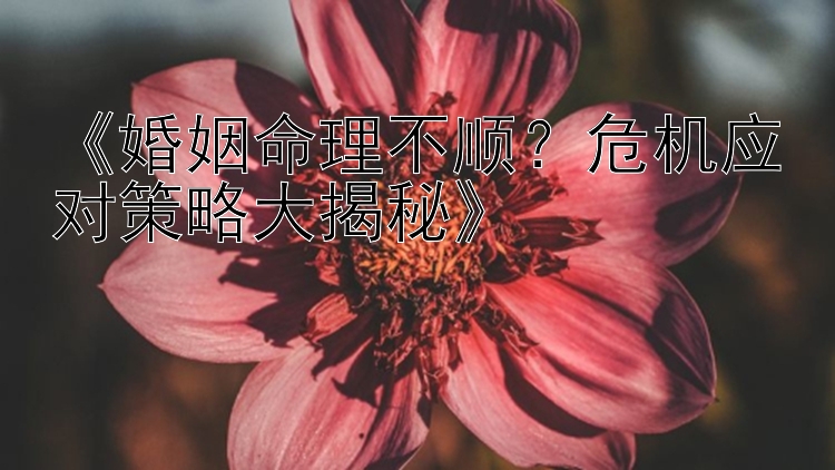 《婚姻命理不顺？危机应对策略大揭秘》