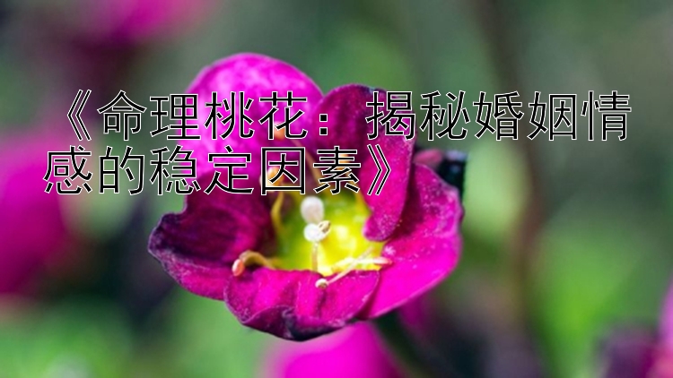 《命理桃花：揭秘婚姻情感的稳定因素》