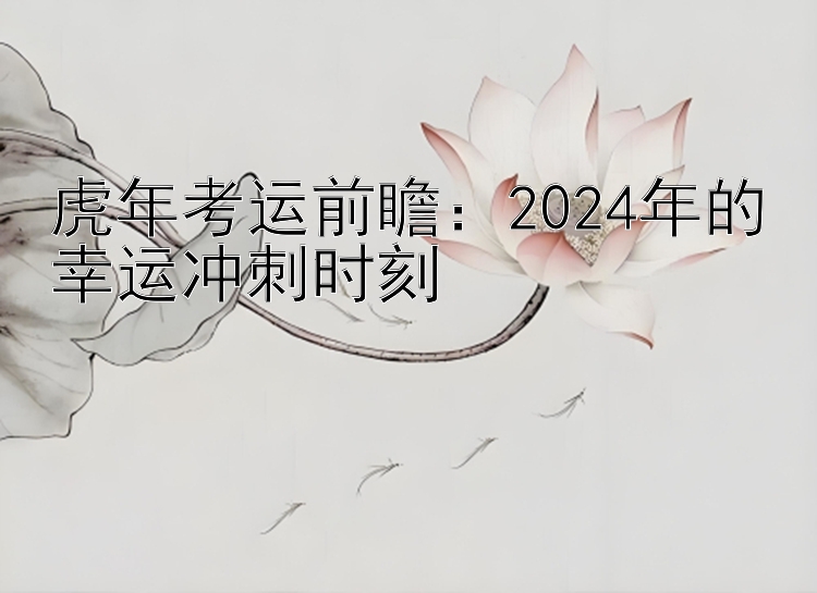 虎年考运前瞻：2024年的幸运冲刺时刻