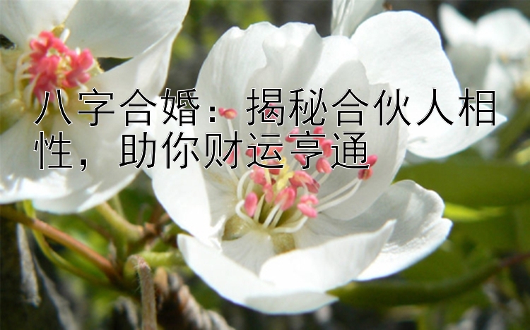 八字合婚：揭秘合伙人相性，助你财运亨通