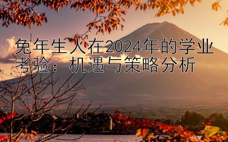 兔年生人在2024年的学业考验：机遇与策略分析