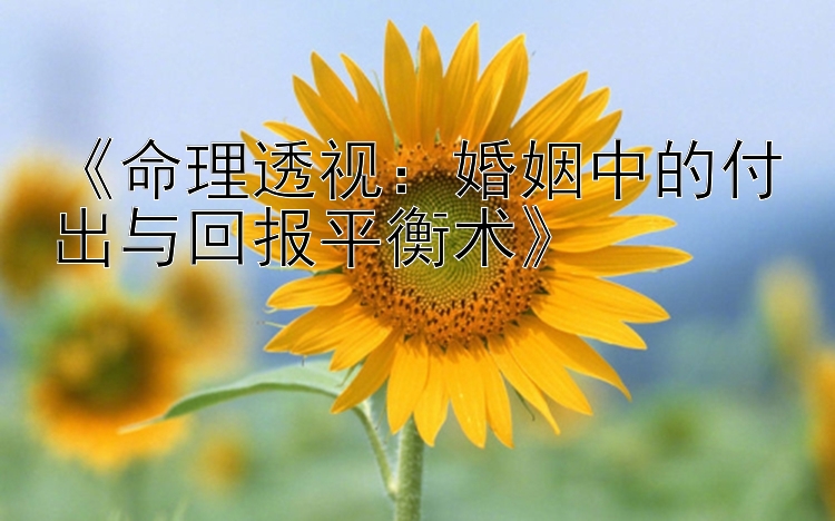 《命理透视：婚姻中的付出与回报平衡术》