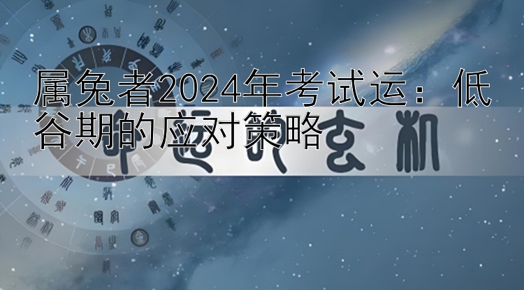 属兔者2024年考试运：低谷期的应对策略