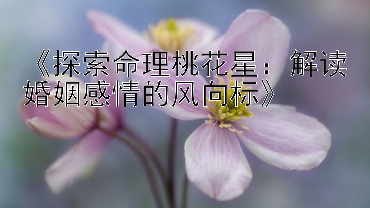 《探索命理桃花星：解读婚姻感情的风向标》