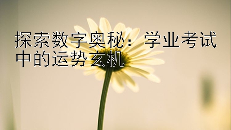 探索数字奥秘：学业考试中的运势玄机