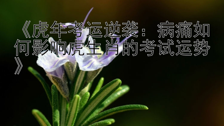 《虎年考运逆袭：病痛如何影响虎生肖的考试运势》