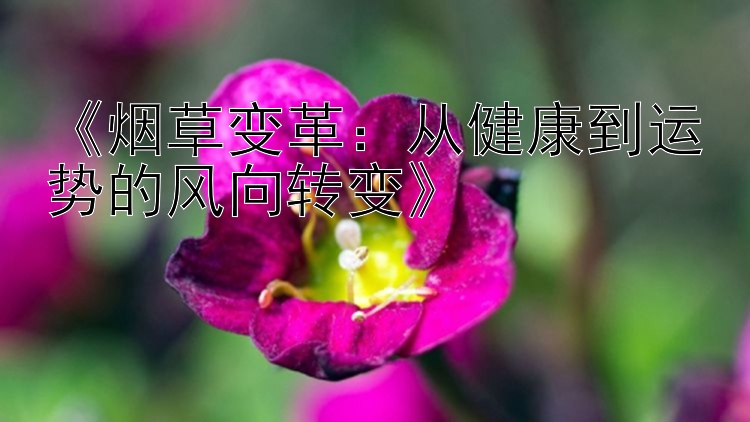 《烟草变革：从健康到运势的风向转变》