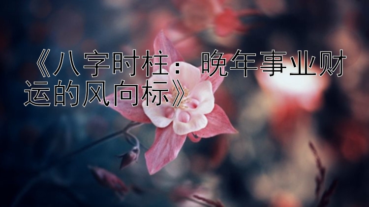 《八字时柱：晚年事业财运的风向标》