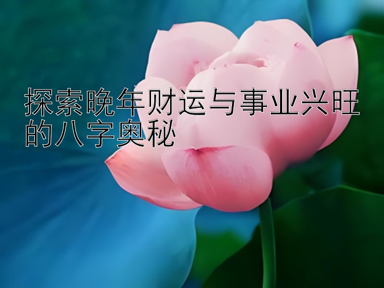 探索晚年财运与事业兴旺的八字奥秘