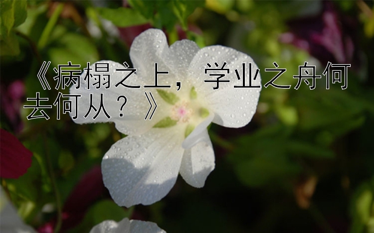 《病榻之上，学业之舟何去何从？》