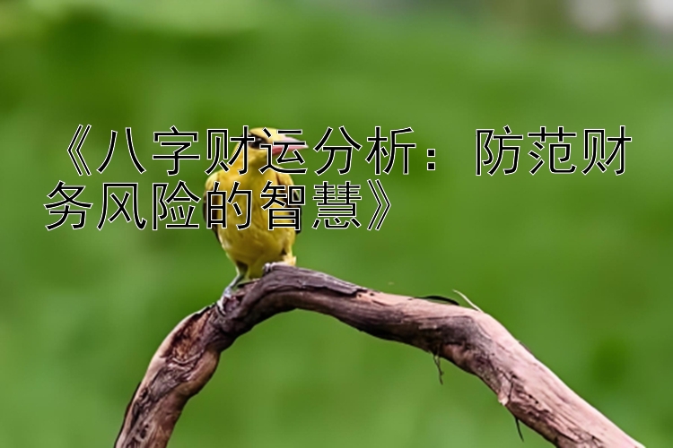 《八字财运分析：防范财务风险的智慧》