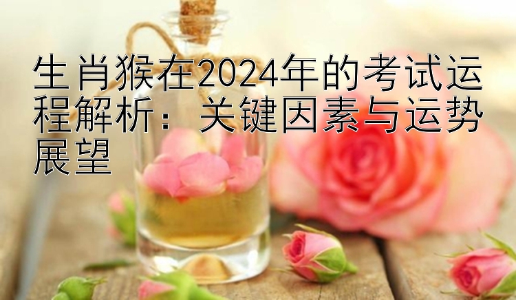 生肖猴在2024年的考试运程解析：关键因素与运势展望